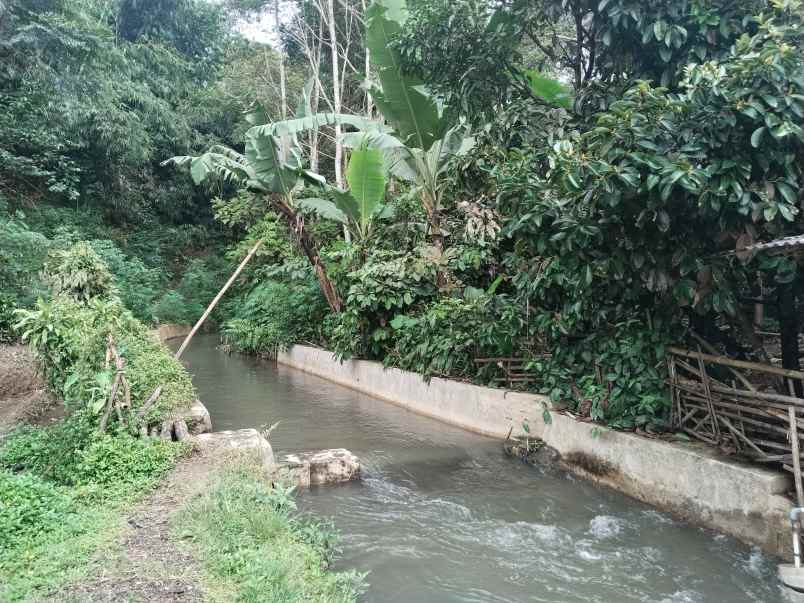 tanah dekat sungai ciater subang jawa barat