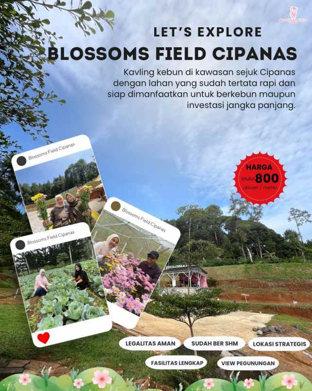 tanah kavling kebun di sukaresmi cianjur