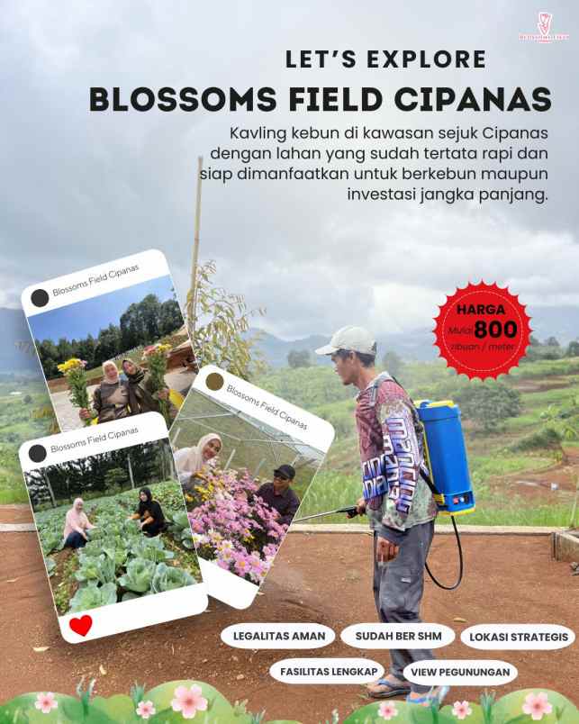 tanah kavling kebun di sukaresmi cianjur