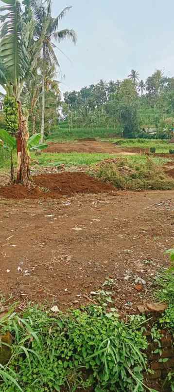 tanah kavling pesona dampit 2