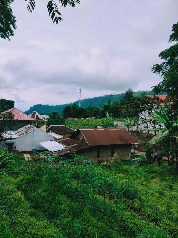 tanah kawasan wisata alam