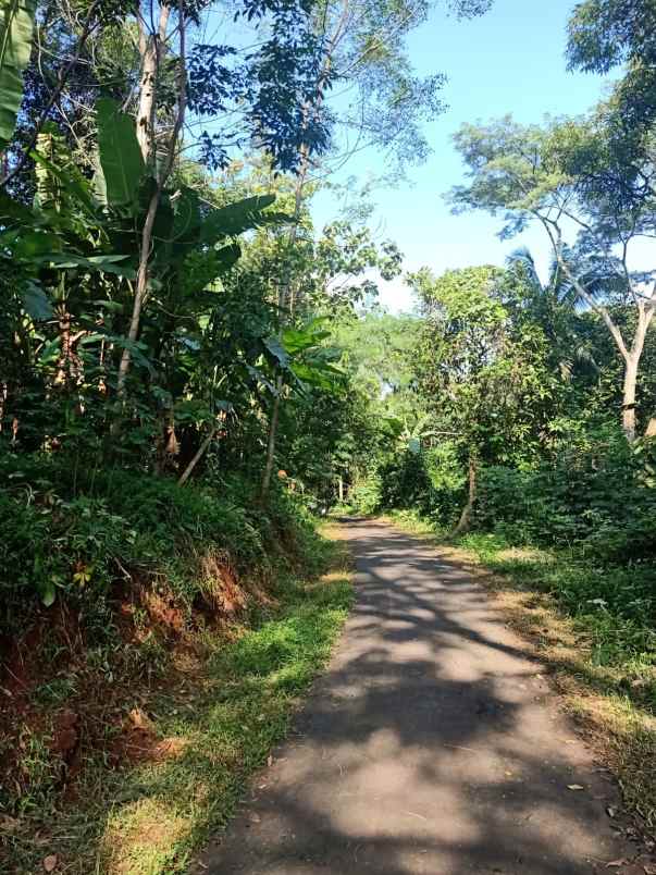 tanah kebun subur dan strategis