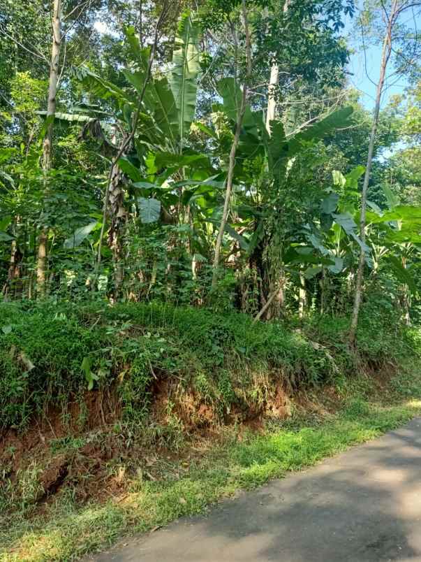 tanah kebun subur dan strategis