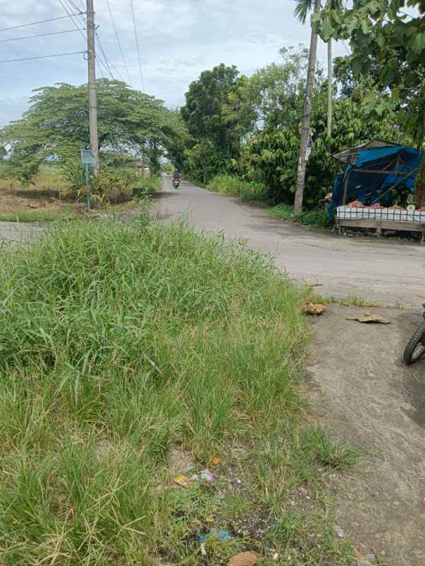 tanah kosong daerah mencirim sunggal dijual