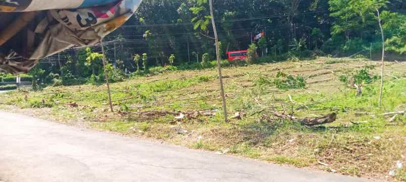 tanah murah depan kampus unika jatingaleh semarang