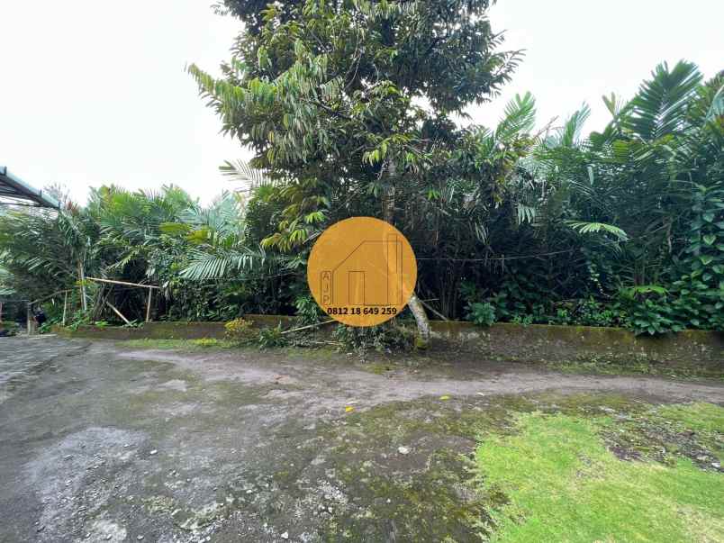 tanah pekarangan turi wonokerto depan masjid termurah