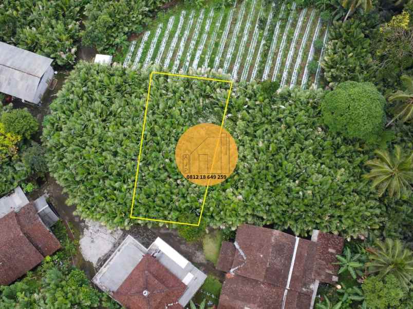 tanah pekarangan turi wonokerto depan masjid termurah