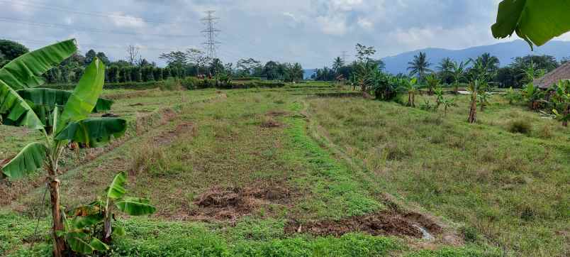 tanah pinggir jalan tanah murah dibogor tanah shm