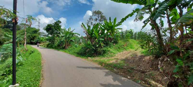 tanah pinggir jalan tanah murah dibogor tanah shm