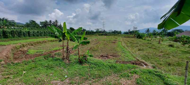 tanah pinggir jalan tanah murah dibogor tanah shm