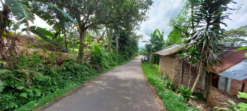 tanah pinggir jalan tanah murah dibogor tanah shm