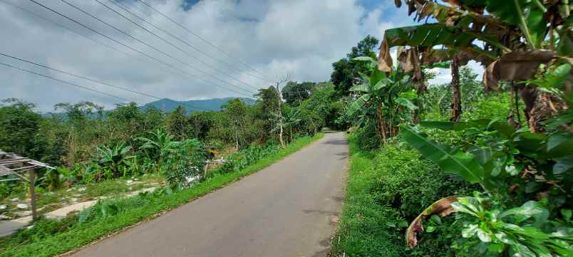 tanah pinggir jalan tanah murah dibogor tanah shm