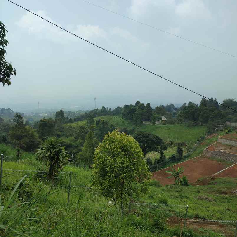 tanah shm di cijeruk tajur halang bogor