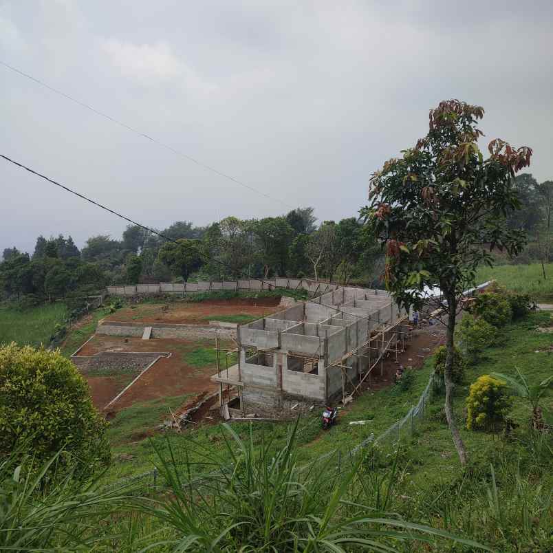 tanah shm di cijeruk tajur halang bogor