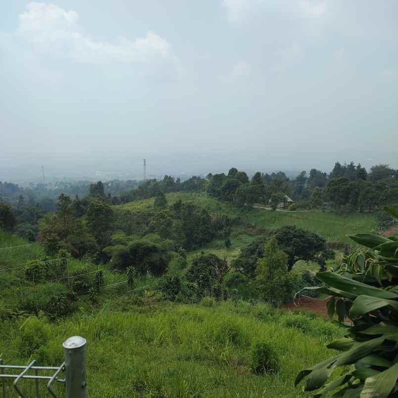 tanah shm di cijeruk tajur halang bogor