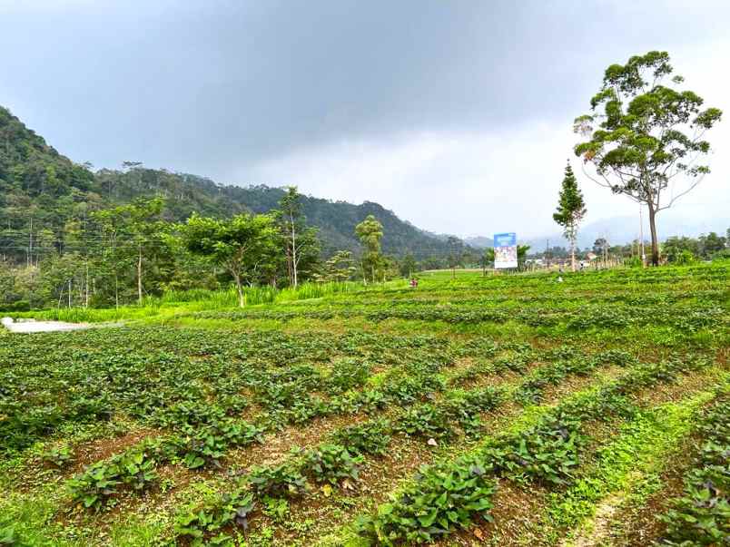 tanah strategis buka resto kemuning karanganyar