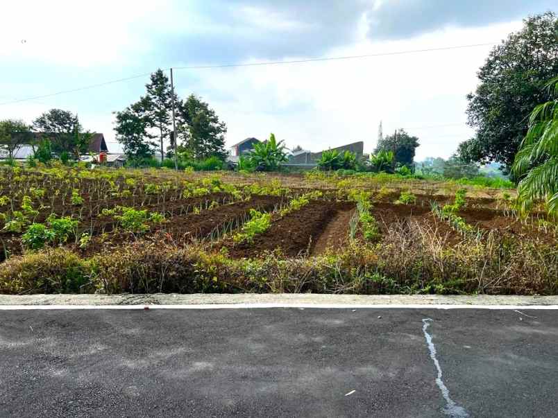 tanah strategis buka resto kemuning karanganyar