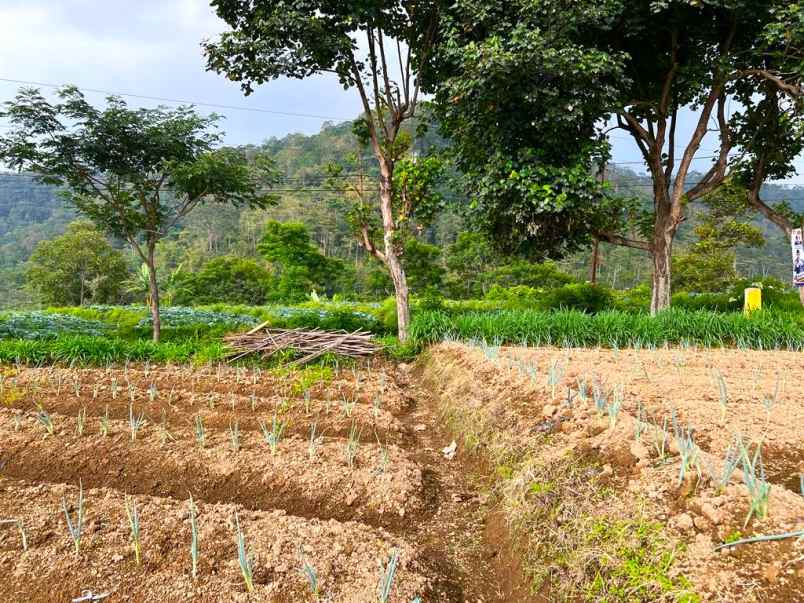 tanah strategis buka resto kemuning karanganyar