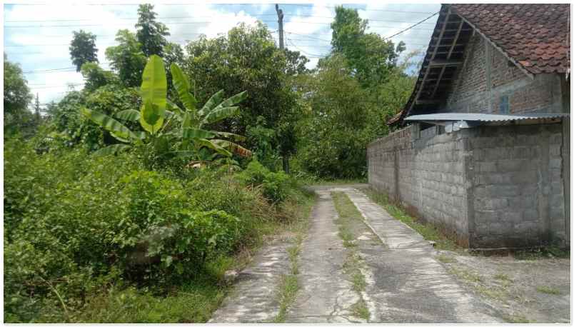 tanah strategis dekat kampus umy