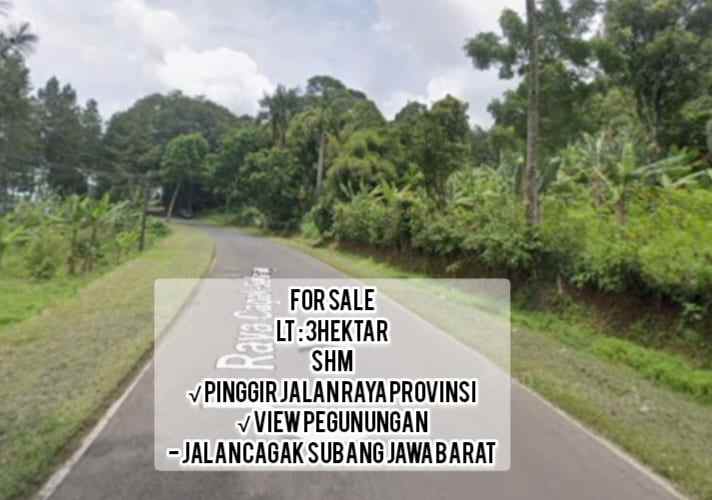 tanah strategis jl raya provinsi cagak subang