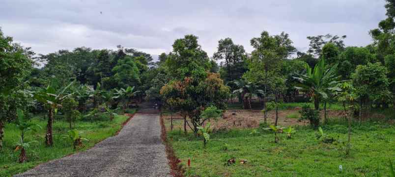 tanah tanjungsari kab bogor