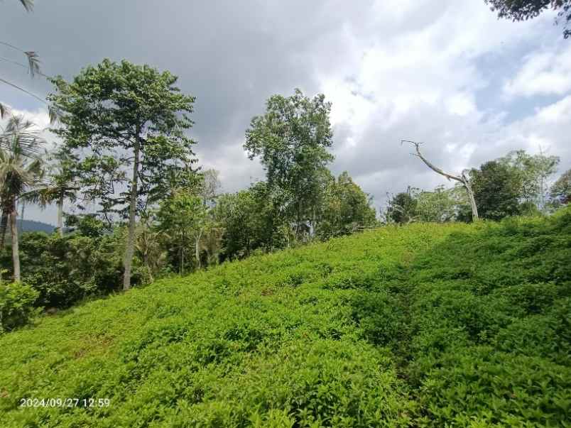 tanah view gunung dan lembah di selemadeg tabanan bali