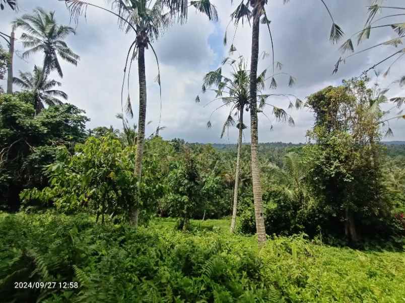 tanah view gunung dan lembah di selemadeg tabanan bali