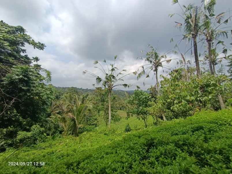 tanah view gunung dan lembah di selemadeg tabanan bali