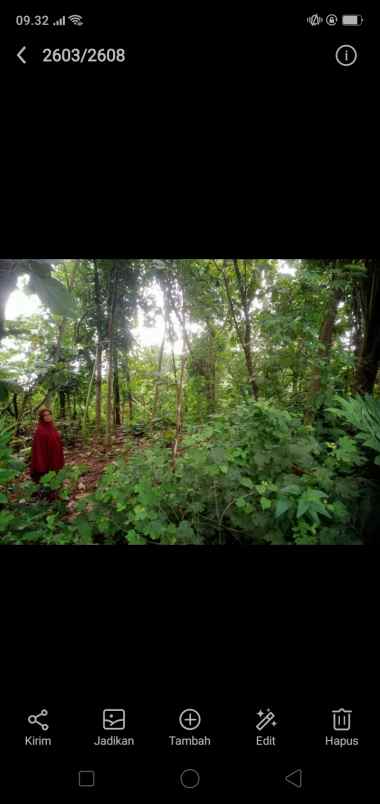 tegalan murah di kaliboto