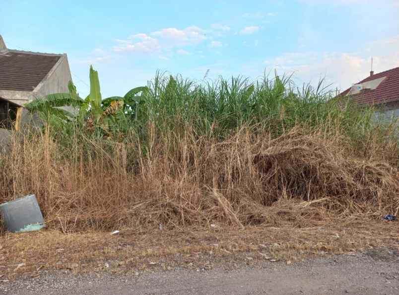 turun harga dijual tanah di bumi taruna wage aloha