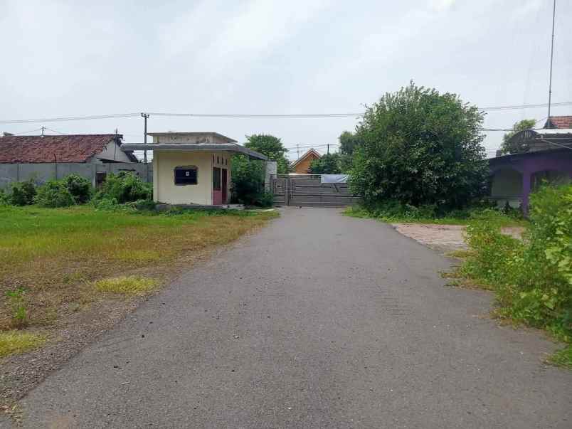 vex pabrik peterongan jombang strategis