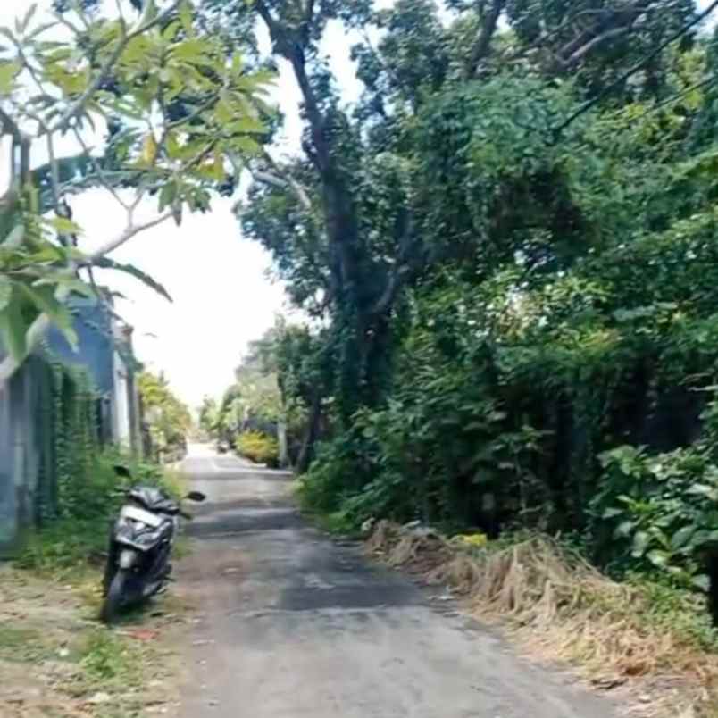 dijual 3 are jl sekar tunjung gatsu timur denpasar