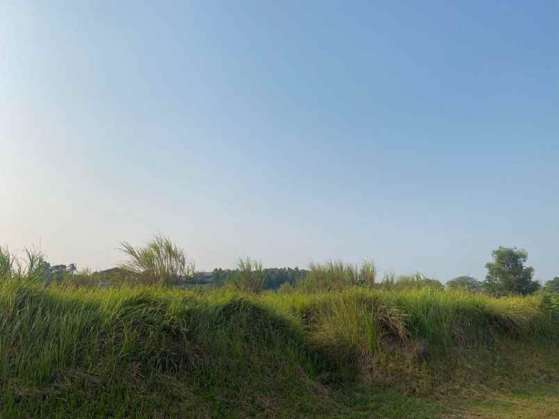 dijual kavling industri 1 hektar lippo cikarang