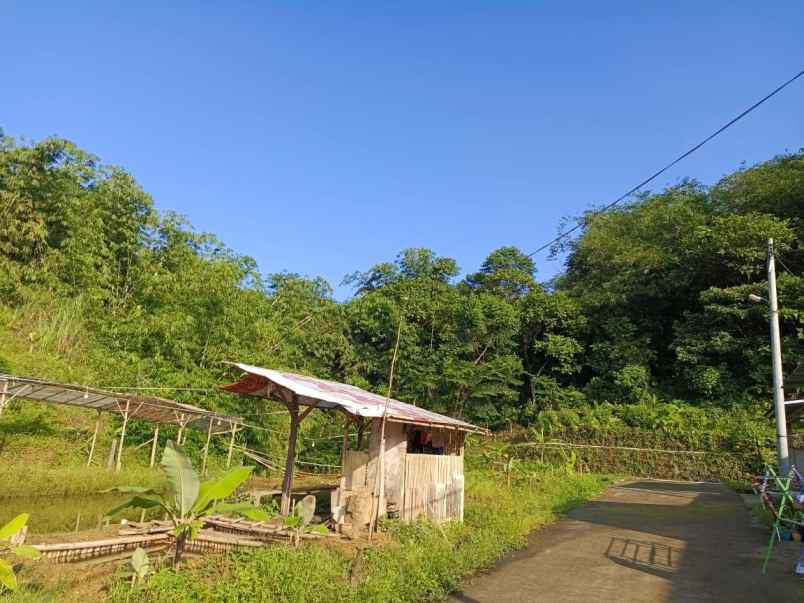 dijual kebun murah di leuwiliang bogor