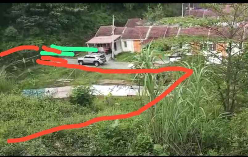 dijual kebun murah di leuwiliang bogor