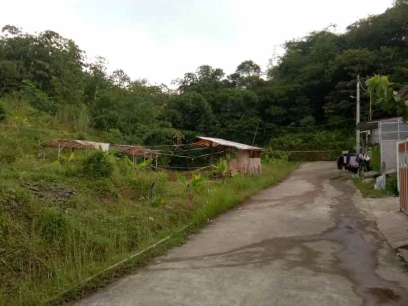 dijual kebun murah di leuwiliang bogor