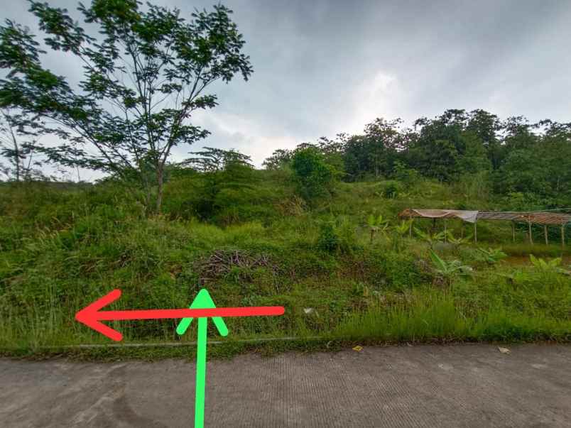 dijual kebun murah di leuwiliang bogor