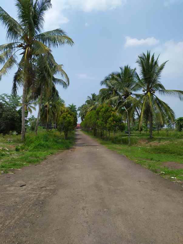 dijual lahan industry di jl raya suka tenang bekasi