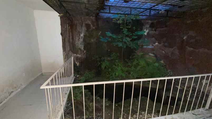 dijual murah rumah tua bsd