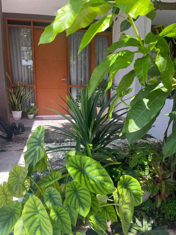 dijual rumah cherryfield cluster crista