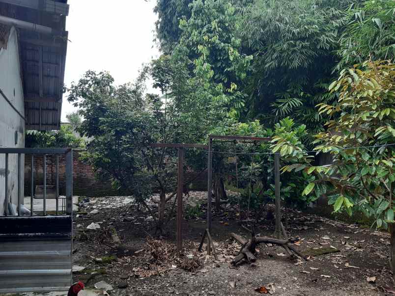 dijual rumah di kebonsari dekat armed