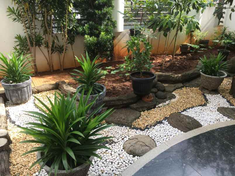 dijual rumah di petojo jakarta pusat