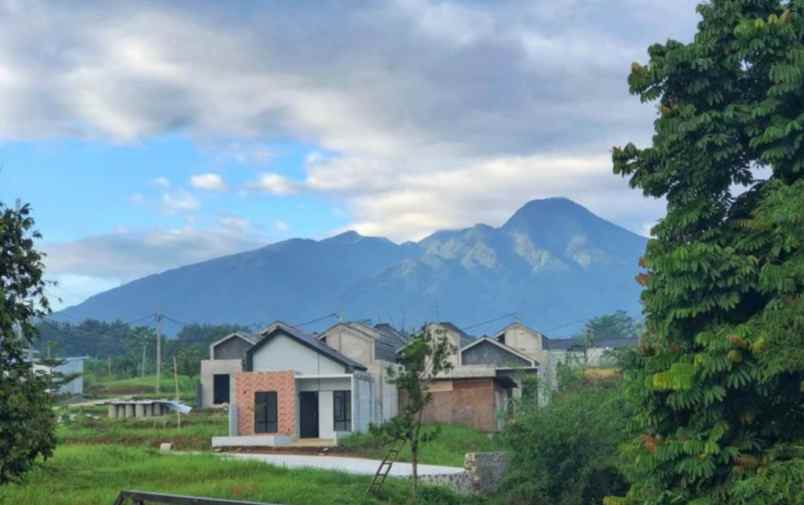 dijual rumah jln raya ciomas bogor