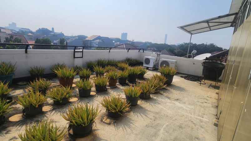 dijual rumah kelapa cengkir kelapa gading