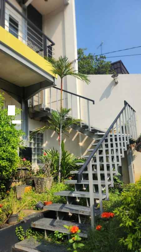 dijual rumah kelapa cengkir kelapa gading