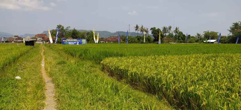 dijual rumah kemudo prambanan klaten