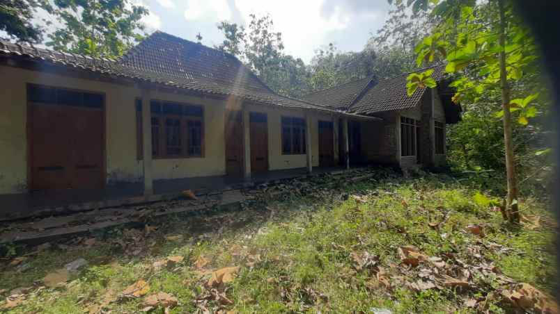 dijual rumah murah di sukoharjo 2000 meter