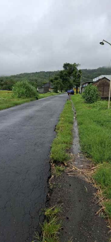 dijual sawah view cantik di prambanan