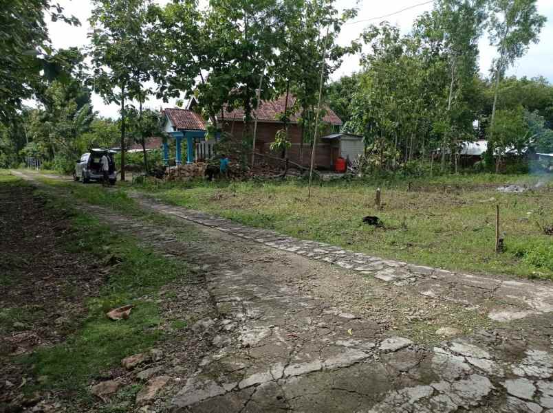 dijual tanah banaran sambung macan