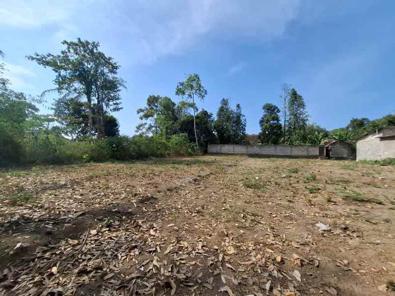 dijual tanah beteng margoagung seyegan